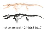 Ichthyosaurus skeleton silhouettes. Underwater archaeological dinosaur fossil bones, jurassic ichthyosaurus raptor flat vector illustration. Ancient water fossil skeleton