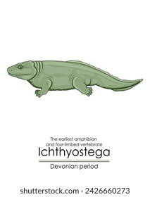 Ichthyostega is the earliest amphibian and four-limbed vertebrate from Devonian period. Colorful illustration on a white background