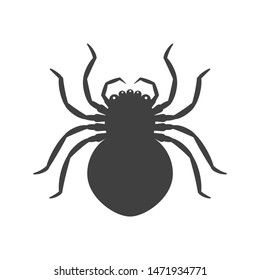 Icon absolutely black spider. Vector on a white background.