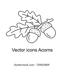  Icon of acorns. Vector illustration.