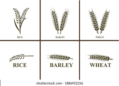 Icon agriculture, cereal Icon and Logo Set rice, barley, wheat