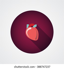 icon anatomical heart