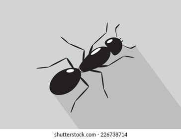 icon. An ant of black color on a gray background with a shadow