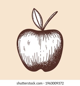 Icon Of Apple. Hand Drawn Sketch. Retro Vintage Design.  Vector Illustration.
