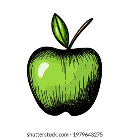 Icon Of Apple. Hand Drawn Sketch Design. Vector Illustration.