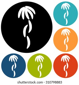 icon of banana