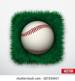 Icon Baseball leather ball in green grass. Vector Illustration.