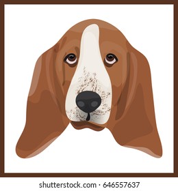 Icon with Basset Hound dog. Vector illustration in flat style.