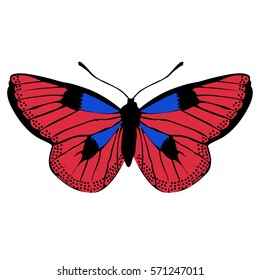 icon beautiful butterfly pattern for decoration. vector illustration