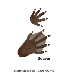 Icon of beaver traces. Tracks of webbed paws of rodent. Print wild animal footprints with inscription. Foot silhouettes, claws trails on ground. Flat isolated vector illustration on white background.