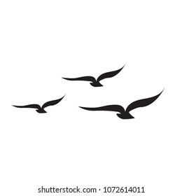 icon bird gulls