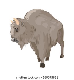 icon bison