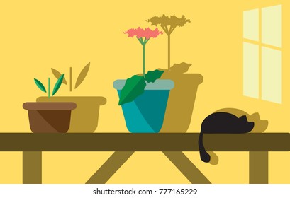 Icon of a black cat lying on a table near potted flowers