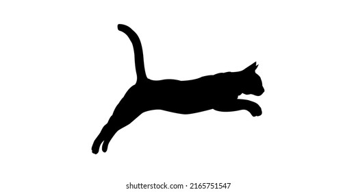 6,676 Cat black background jump Images, Stock Photos & Vectors ...