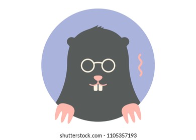 Icon of black Mole. Portrait in flat graphics - mole on colorful circle background. Vector Illustration