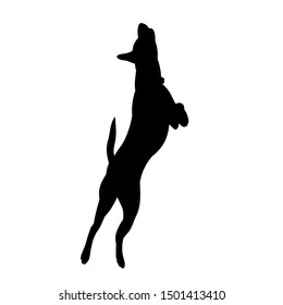 icon, black silhouette of a dog jumping