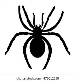 icon black spider. pattern for decoration or design. Vector illustration