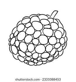 Icon of Blackberry. Hand drawn sketch. Retro vintage design. Vector illustration.