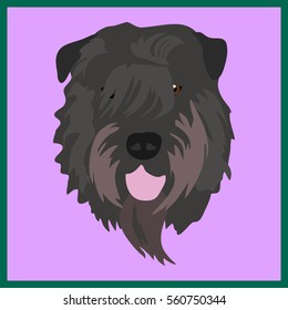 Icon with Bouvier des Flandres dog. Vector illustration in flat style.