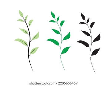 Icon branch with leafs decorative, Black and white leaves design,hand drew plant.natural line style vector illustration graphic design.