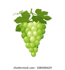 Icon of a bunch of green grapes with leaves on a white background. Vector illustration.