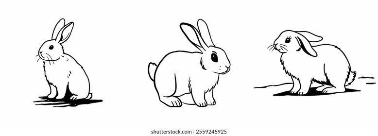 icon bunny rabbit animal pet