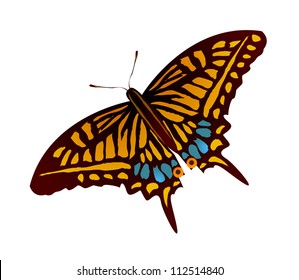 mariposa de iconos