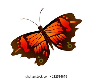 mariposa de iconos