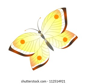 icon butterfly
