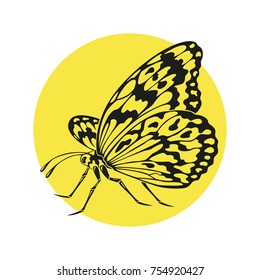 Icon of butterfly silhouette on the yellow background. Vector illustration.