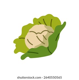 Icon of cabbage head with leaves. Fresh cauliflower. Organic vegetable for vegetarian eating. Healthy farm food. Natural agriculture crop. Flat isolated vector illustration on white background