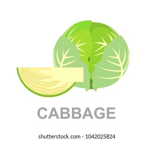 icon Cabbage whole and in section. vector cabbage or lettuce illustration isolated - healthy vegetable, nutrition icon - green veggie food