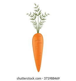 icon: carrot. Carrot