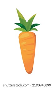 icon carrot vegetable flat cartoon