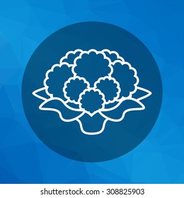 Icon of cauliflower curd