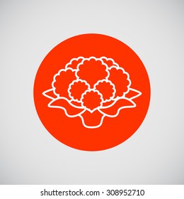 Icon of cauliflower curd