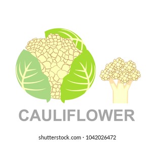 icon Cauliflower whole and in section