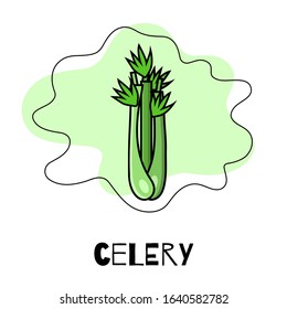 Icon of celery, vegetables. Modern and bright illustration of a celery in the flat style with text and graphic elements.