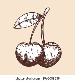 Ícone Da Cereja. Esboço desenhado à mão. Retro Vintage Design. Ilustração de vetor.