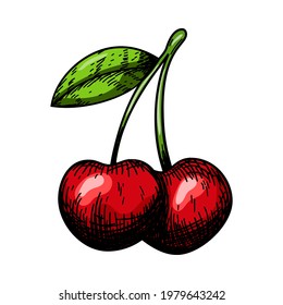 Icon Of Cherry. Hand Drawn Sketch Design. Vector Illustration.
