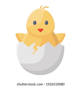 
Icon of chick in editable flatty style 