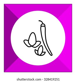 Icon of chili pepper with leaves