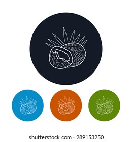 Icon Coconut,  Four Types of Colorful Round Icons Coco , Line Style, Vector Illustration