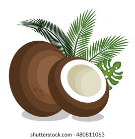 icon coconut slice design