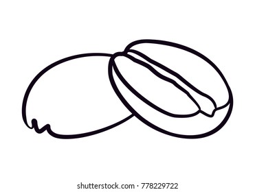 icon coffee beans