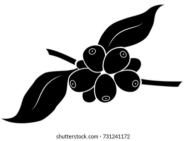 icon coffee seed, vector