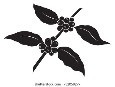 icon coffee seed, vector