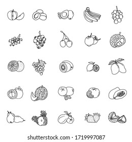 Icon Collection of Fruit with outline style