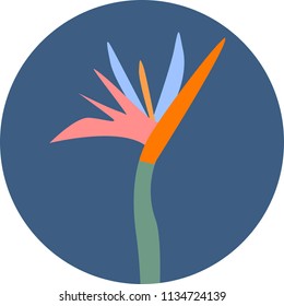 Icon of colorful blossom of strelizia on dark blue background cartoon style vector illustration