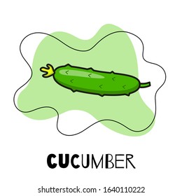 Icon of cucumber, vegetables. Modern and bright illustration of a cucumber in the flat style with text and graphic elements.